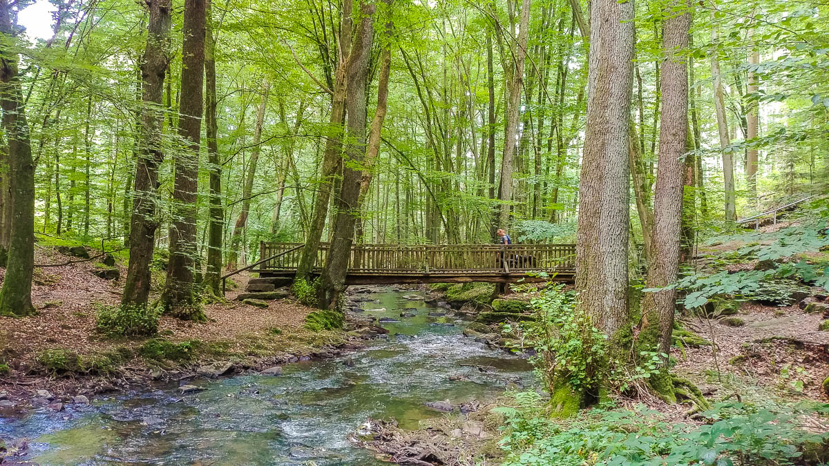 Holzbrücke über Bach